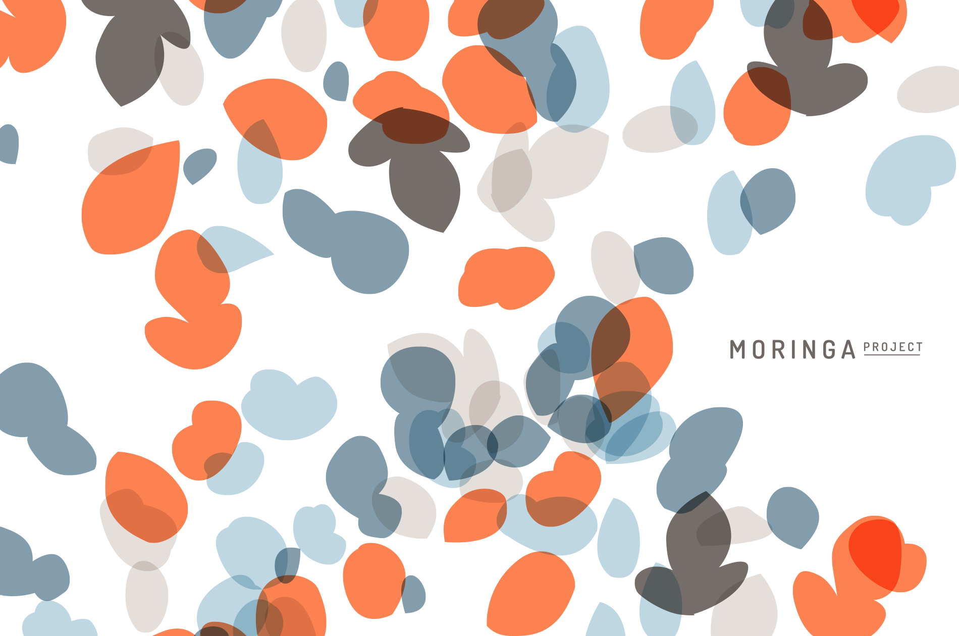 Moringa Project branding asset 2
