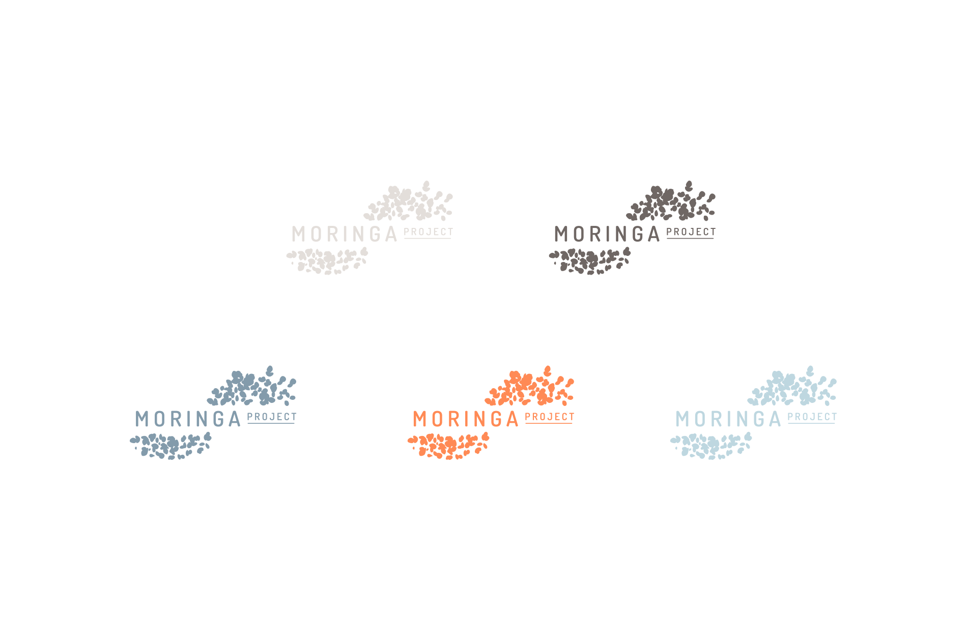 Moringa Project branding asset 4